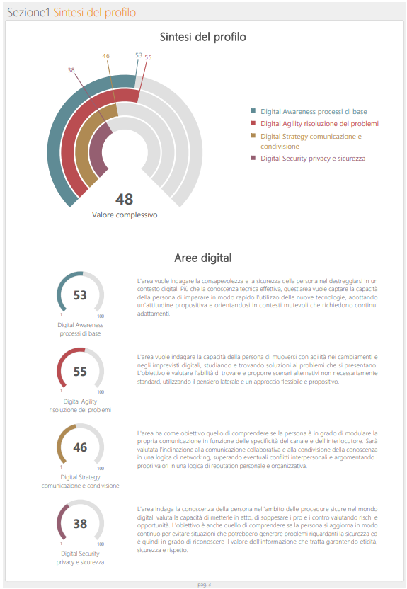 Illustrare il report del Digital Mindset Test di MYCO